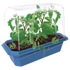 Garden Grow Kit - Greenhouse + 6 plants