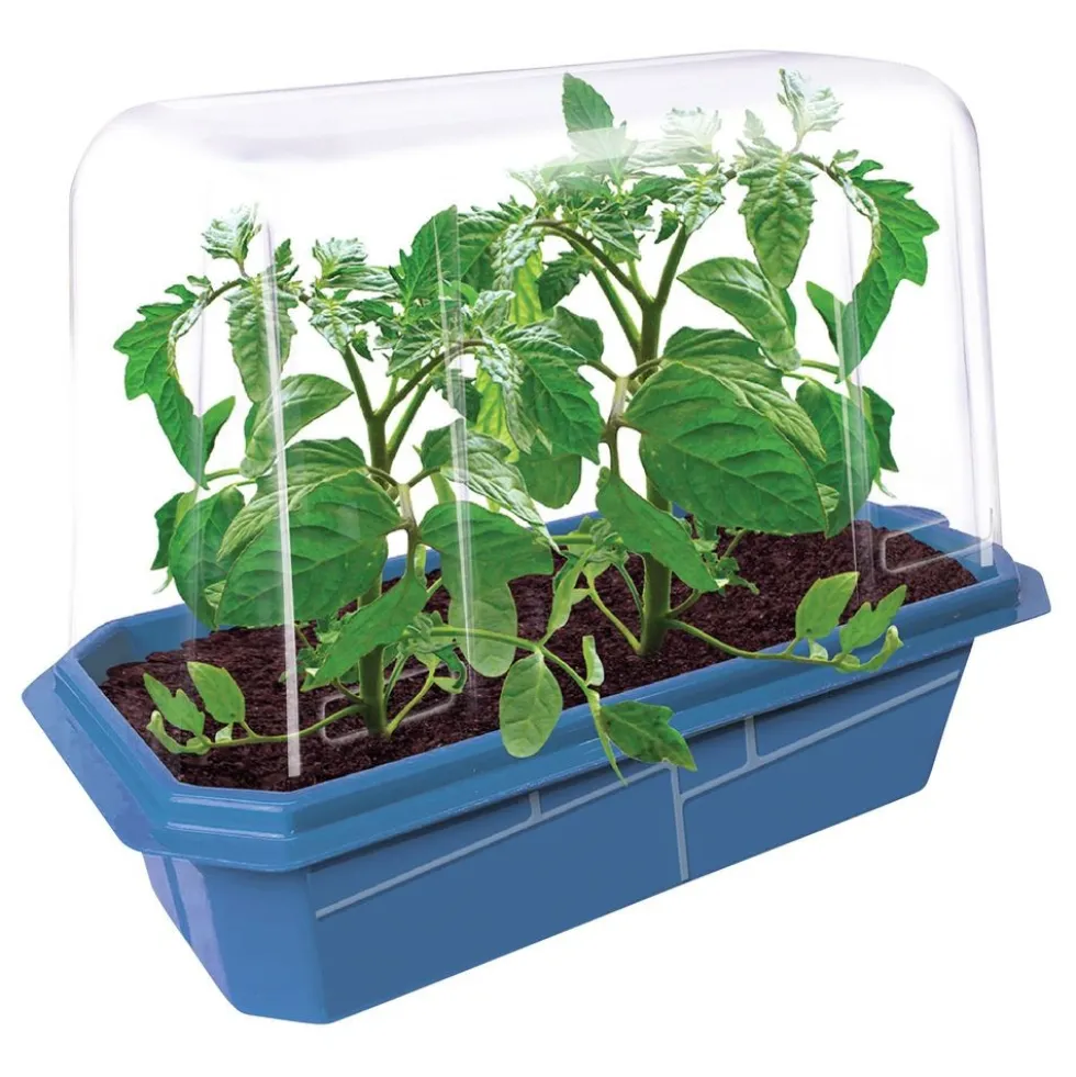 Garden Grow Kit - Greenhouse + 6 plants