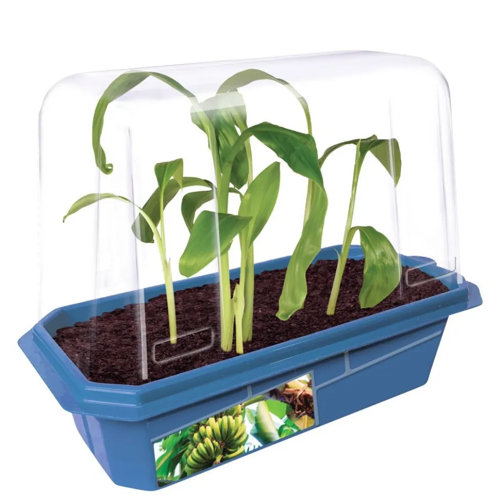 Garden Grow Kit - Greenhouse + 6 plants