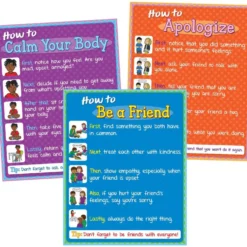 How To - Social/Emotional Poster Set