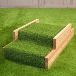 Infant Step & Ramp