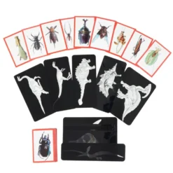 Insect & Dinosaur X-Rays - 96 cards