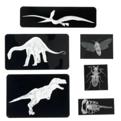 Insect & Dinosaur X-Rays - 96 cards