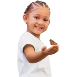 Insect Lore® Butterfly Garden