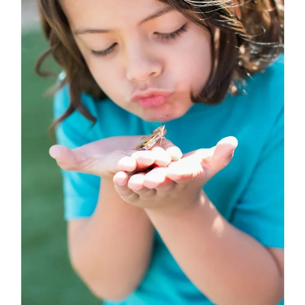 Insect Lore® Butterfly Garden