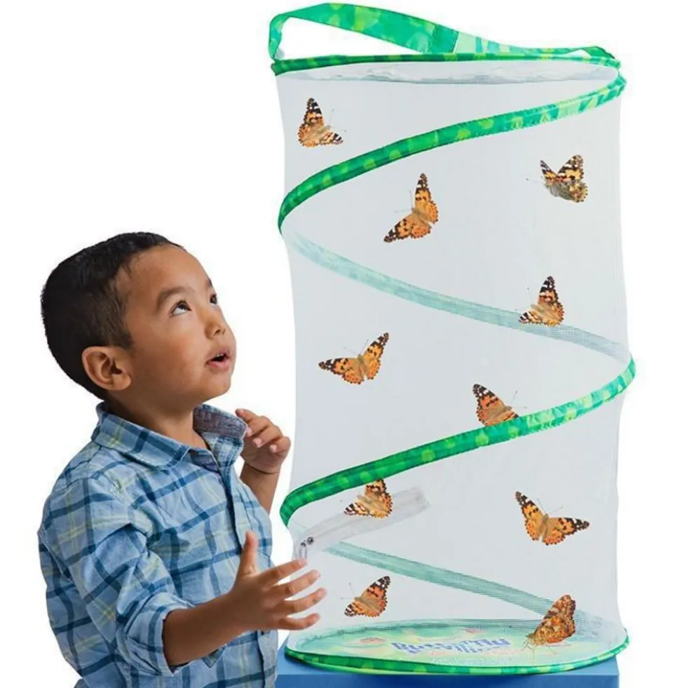 Insect Lore® Butterfly Garden Classroom Set