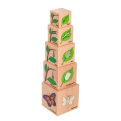 Life Cycles Blocks and Puzzles