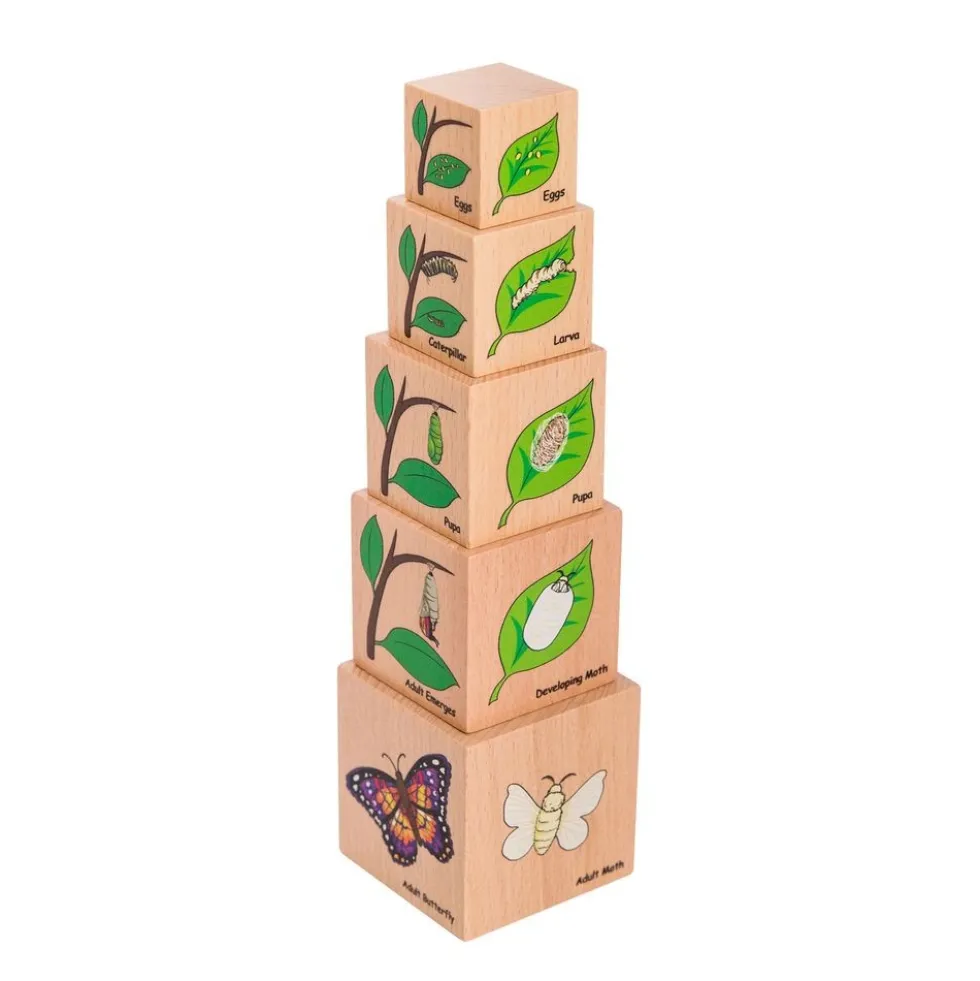 Life Cycles Blocks and Puzzles
