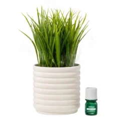 Lifelines Faux Plant Diffuser - Grass Plant