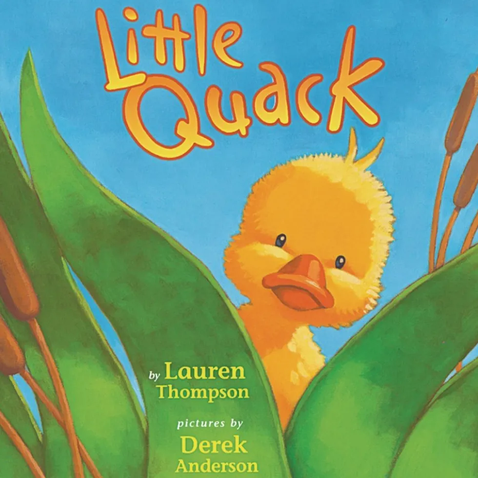 Little Quack (Hardcover Book)