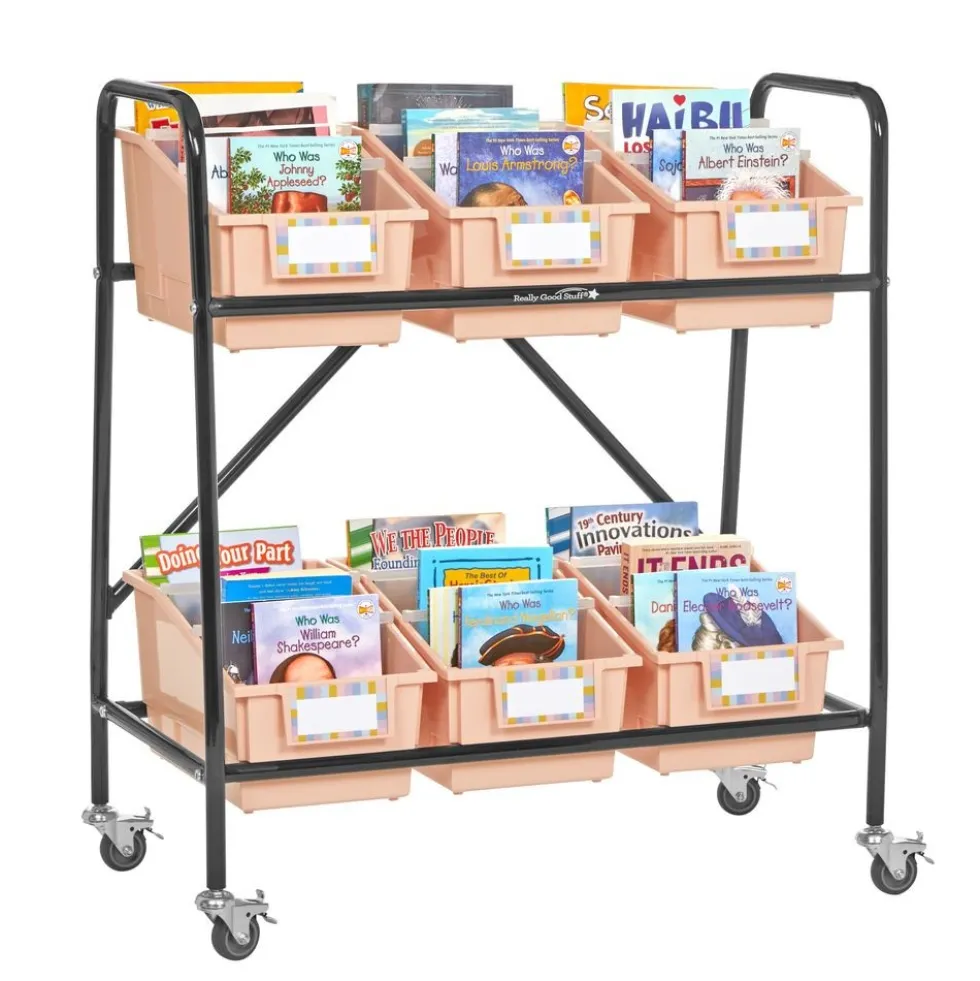Mid-Size Mobile Storage Rack With Chapter Book Bins™ - 1 rack, 6 bins