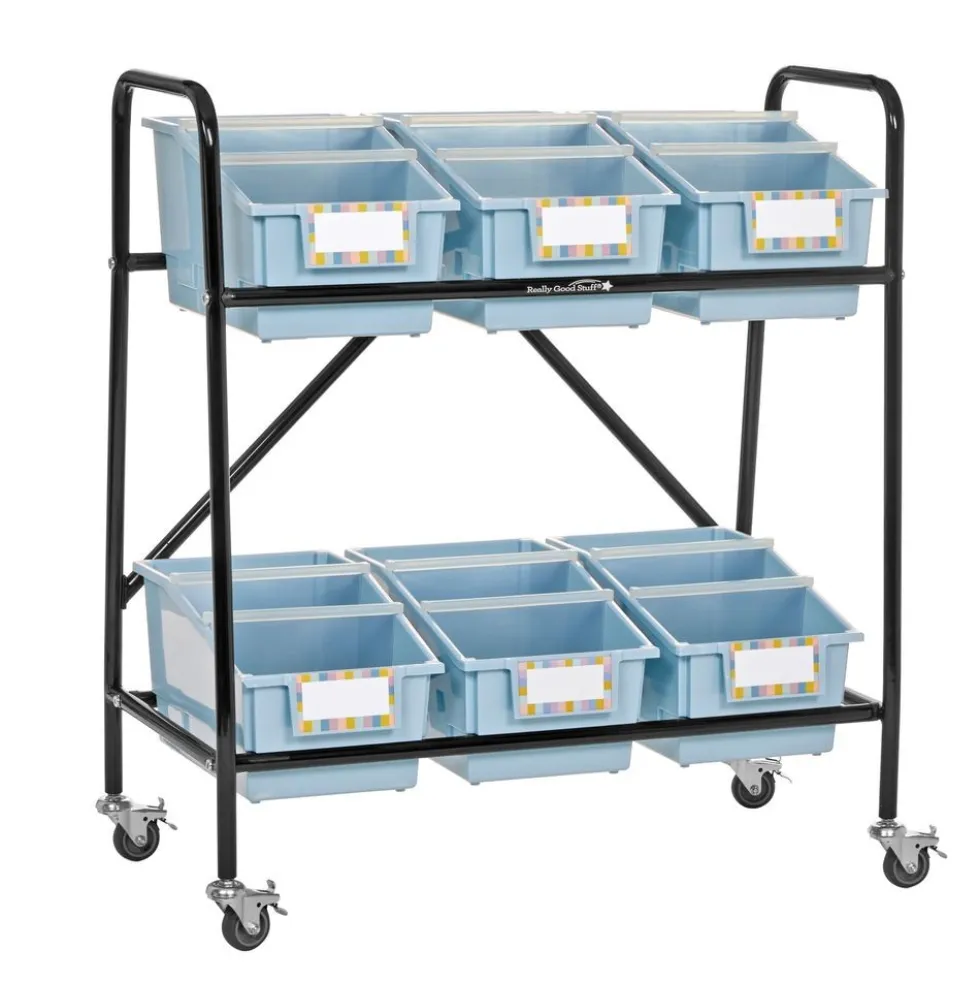 Mid-Size Mobile Storage Rack With Chapter Book Bins™ - 1 rack, 6 bins