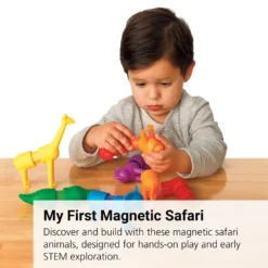 My First Magnetic Safari Animals - 18 Pieces