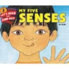 My Five Senses - Paperback Book