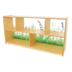 Nature View Acrylic Back Cabinet - 24