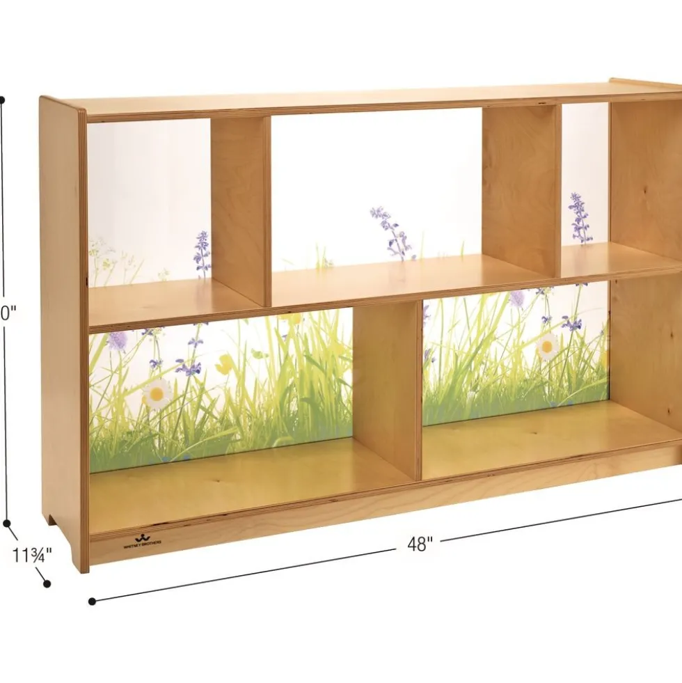 Nature View Acrylic Back Cabinet - 30" High