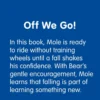Off We Go! A Bear and Mole Story Paperback Book