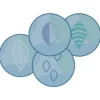 Peaceful Spaces Leaf Seating Rounds - Set of 12 - 16" Dia.