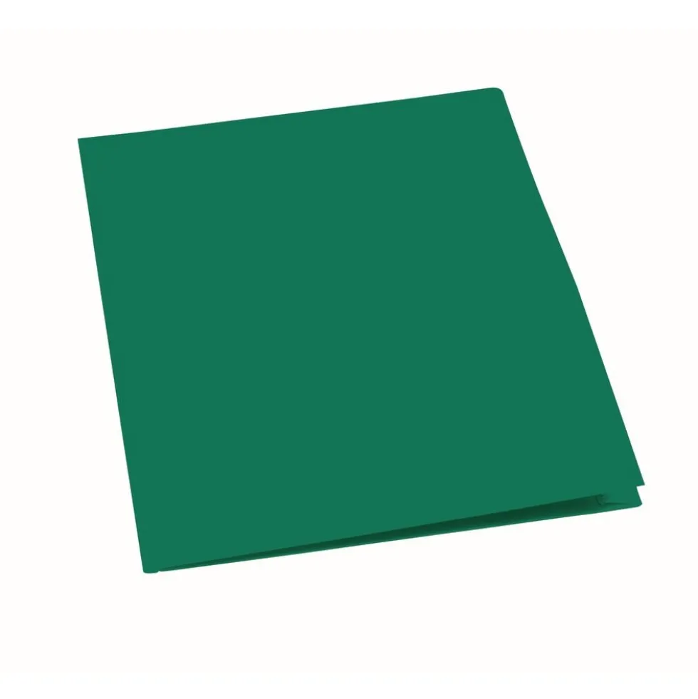 Plastic Pocket Folder, Green