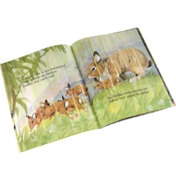 Rabbits and Raindrops Paperback Book