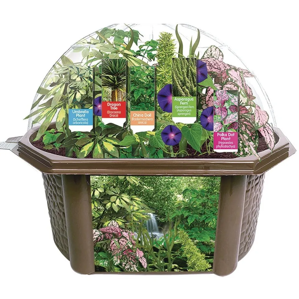 Rainforest Eco-Biosphere