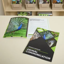 Really Good Stuff® Interest-Based Readers: Animals and Wildlife
