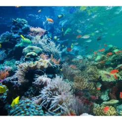 Really Good Stuff® Lenticular Posters - Set of 6