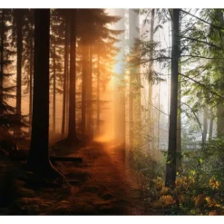 Really Good Stuff® Lenticular Posters - Set of 6
