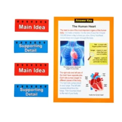Really Good Stuff® Main Idea Markup Story Cards and Tags - Level 1