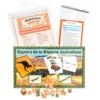Really Good Stuff® Spanish Math Skills Numeracy Centers Grades 3-6 (Centros de Aritmetica)