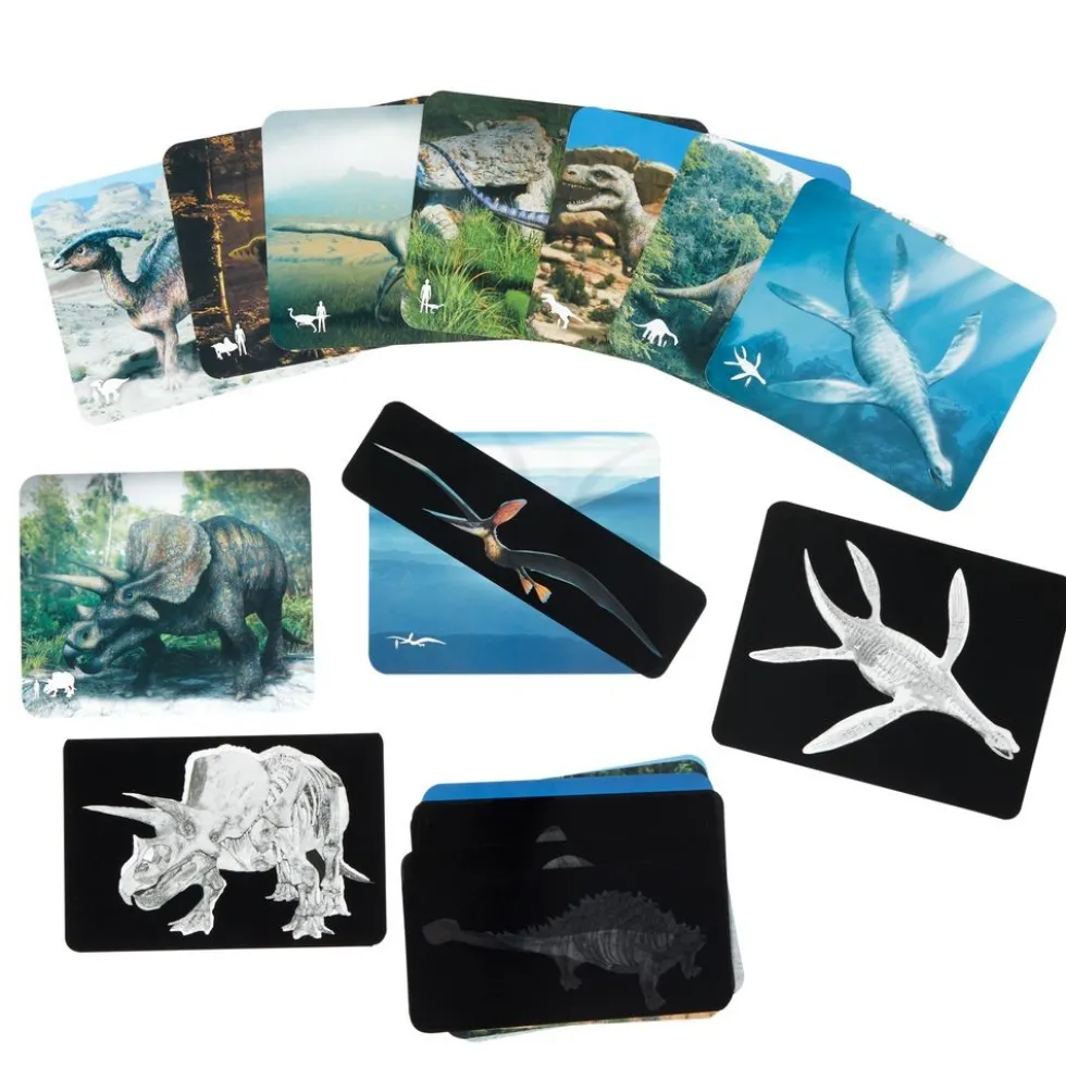 Roylco® Discover Dinosaurs Picture Cards & X-Rays - 24 cards