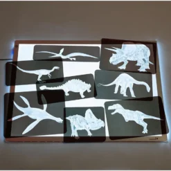 Roylco® Discover Dinosaurs Picture Cards & X-Rays - 24 cards