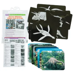 Roylco® Discover Dinosaurs Picture Cards & X-Rays - 24 cards