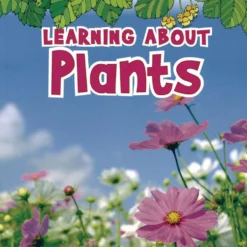 Science Vocabulary Paperback Books - 4 Titles