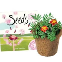 Seeds and Wonder Soil Classroom Gardening Kit