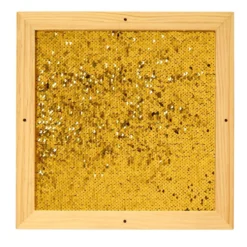 Sequin Motor Skills Frame- Gold