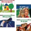 Spanish Early Literacy 12 Book Set