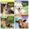 STEAM Beginning Spanish, Set of 4 Books
