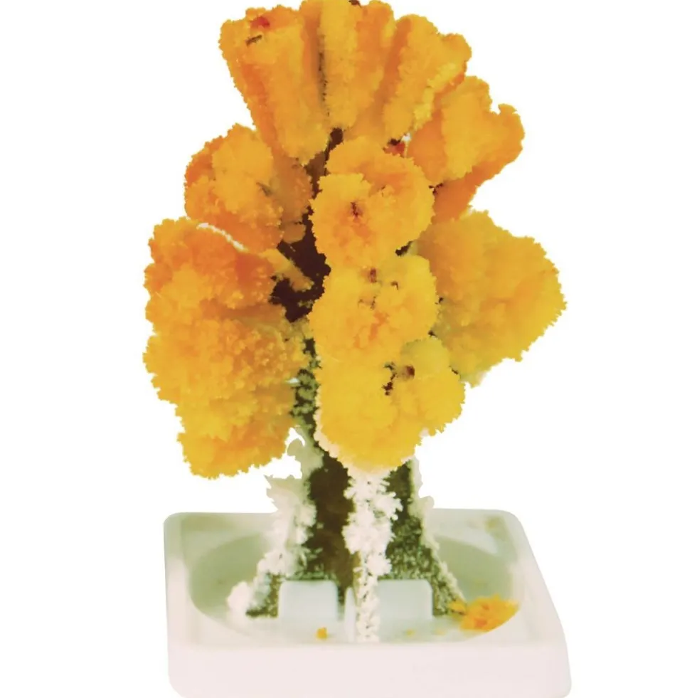 Steve Spangler Science® Magic Trees - Set Of 5