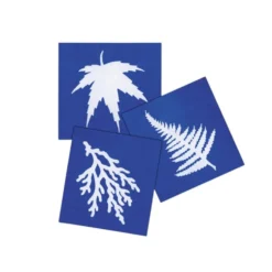 Steve Spangler Science® Nature Print Sun Paper (30 Pack)