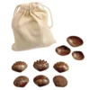 Tactile Shells for Sensory Exploration - 36 pcs