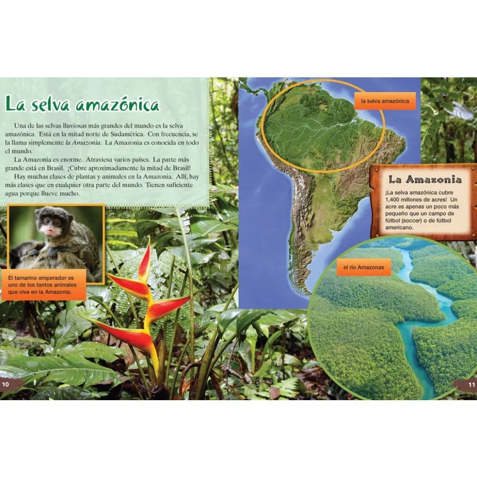 TIME FOR KIDS® Informational Text Grade 3 Spanish Set 2 10-Book Set