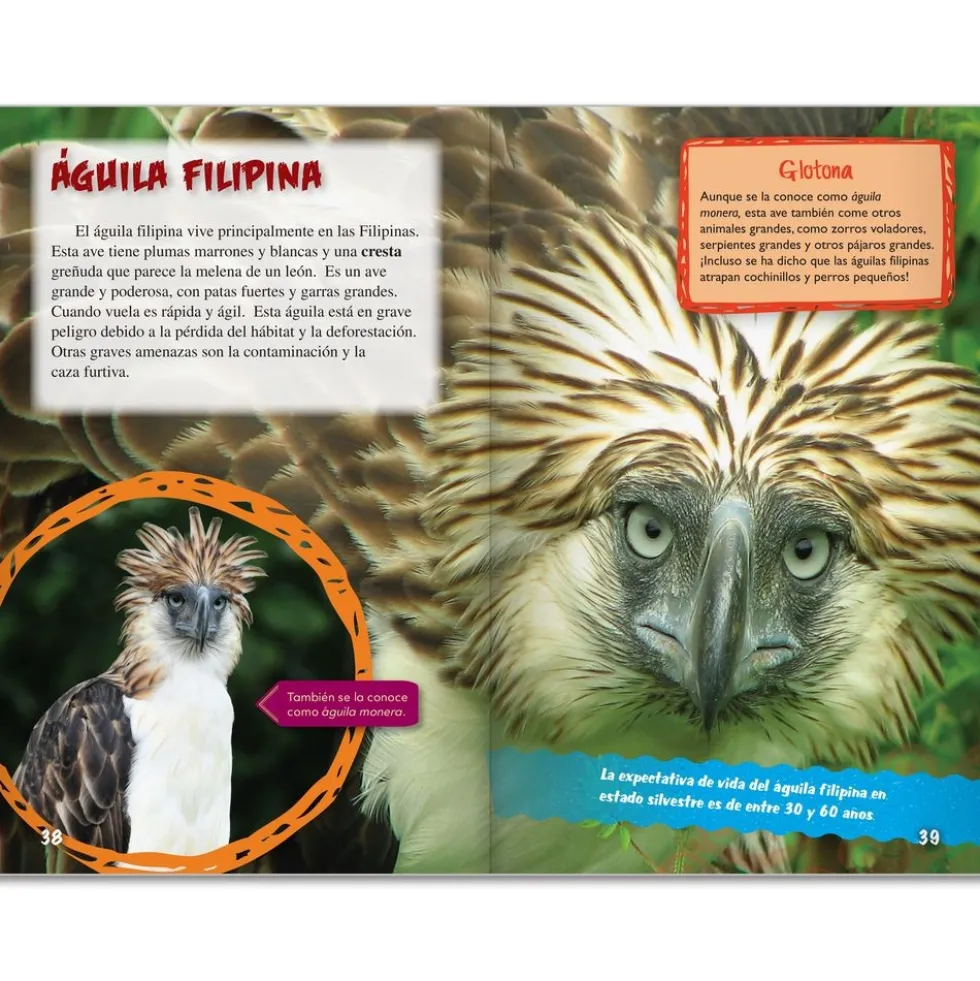 TIME FOR KIDS® Informational Text Grade 5 Spanish 30-Book Set