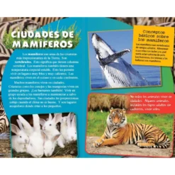 TIME FOR KIDS® Informational Text Grade 4 Spanish 30-Book Set