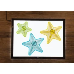TTS® Radiant Stacking Cones - Set of 20