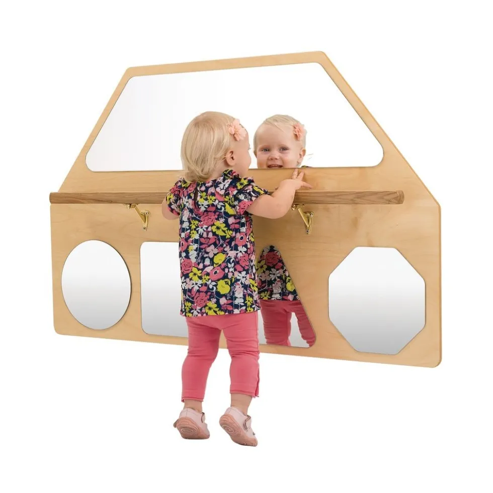 Wall Mirror with Pull-Up Bar